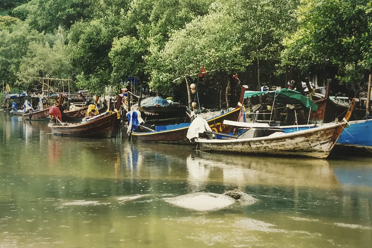 Boats in the river